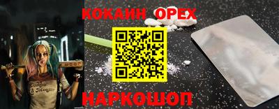 СК Рыбинск