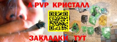 СК Рыбинск