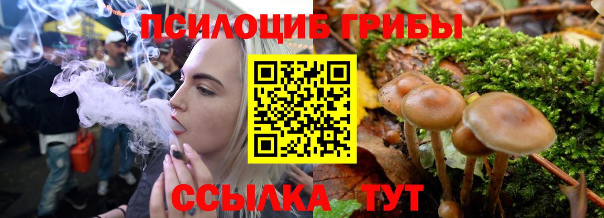 Сердобск  магазин    Вход с VPN  Псилоцибиновые грибы мухоморы  Галлюциногенные грибы GOLDEN TEACHER 